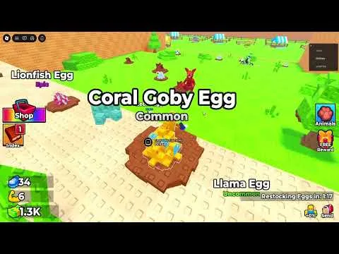 Video Guides